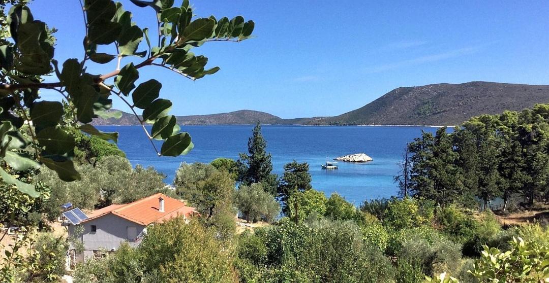 Lithea Villas And Studios By The Sea Agios Petros  Bagian luar foto