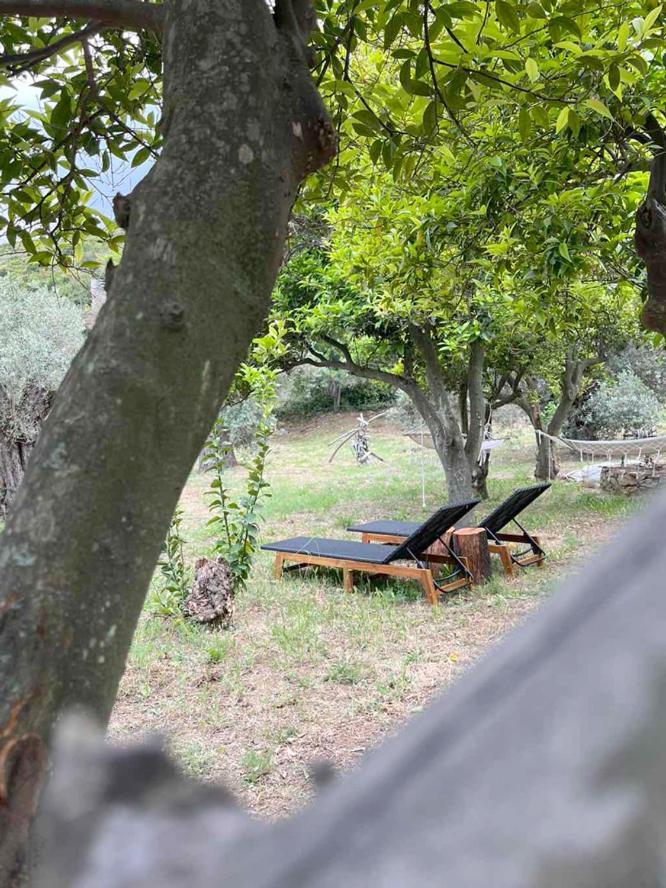 Lithea Villas And Studios By The Sea Agios Petros  Bagian luar foto