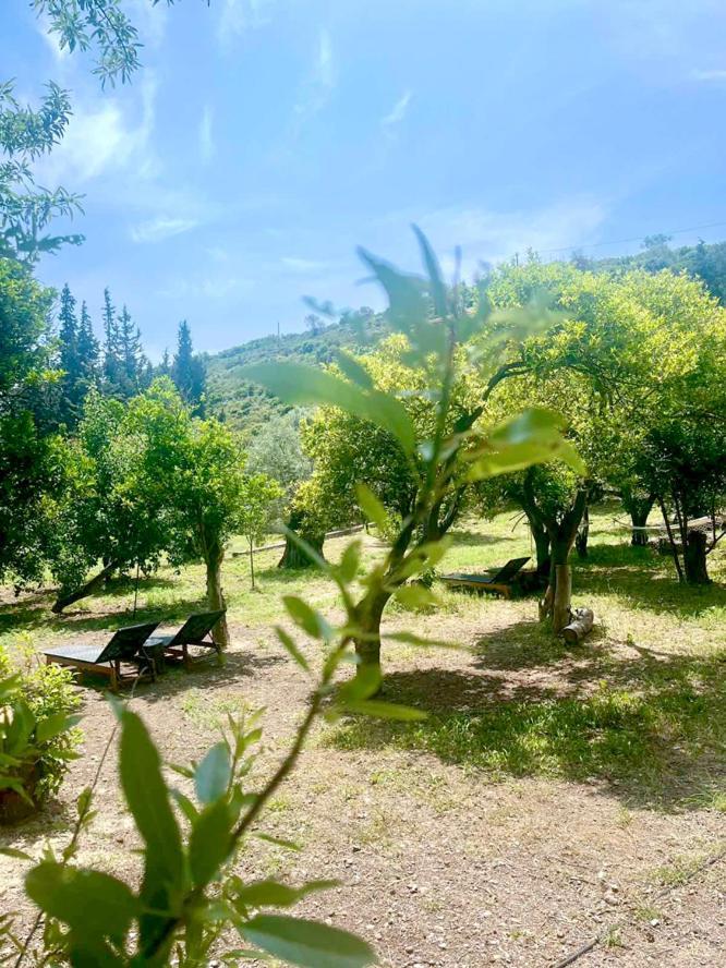 Lithea Villas And Studios By The Sea Agios Petros  Bagian luar foto