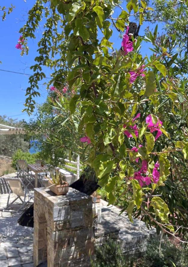 Lithea Villas And Studios By The Sea Agios Petros  Bagian luar foto