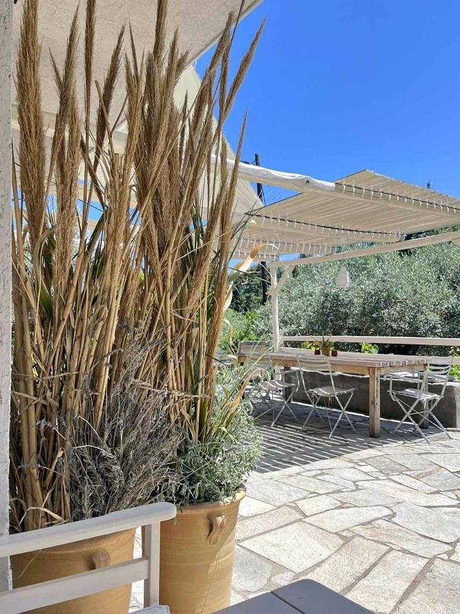 Lithea Villas And Studios By The Sea Agios Petros  Bagian luar foto